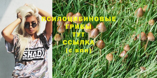 амф Алексеевка