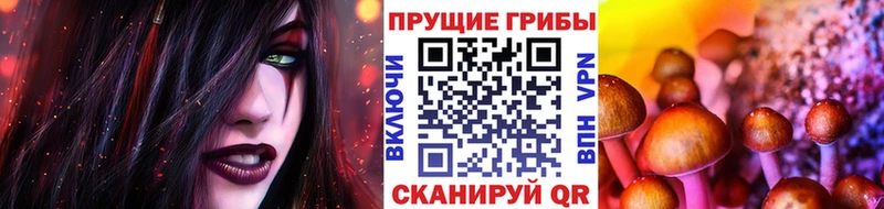 Псилоцибиновые грибы MAGIC MUSHROOMS  Ивангород 